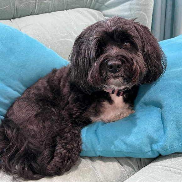 Meet your Posher, Kimberly - Picture 5 of 6